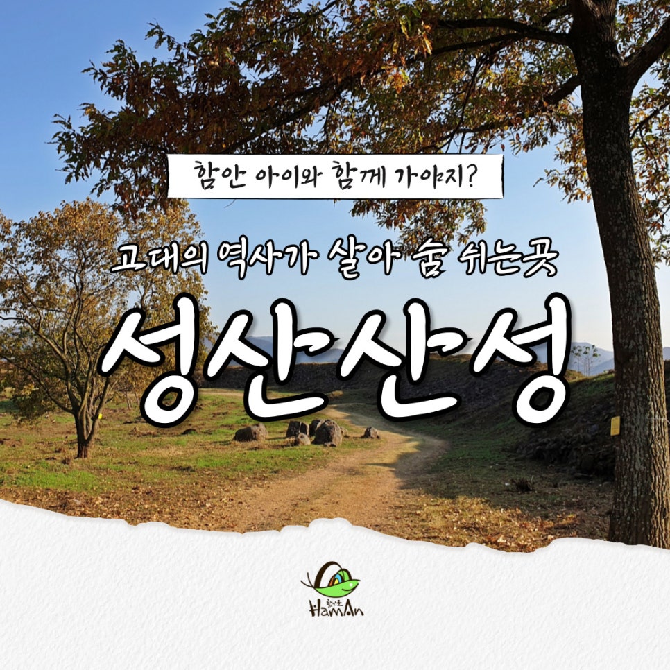 노바블룸디자인 이미지