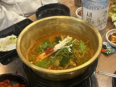 바닷집회참 이미지