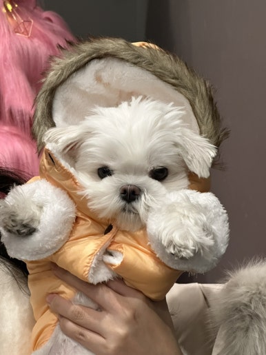 발산커피 이미지