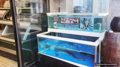 보양면옥 이미지