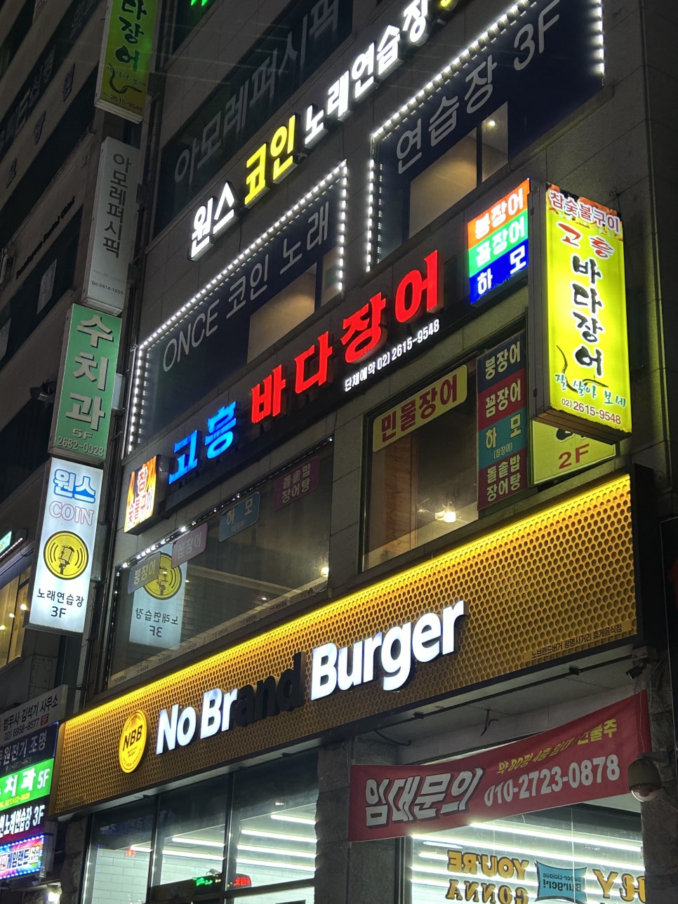 고흥바다장어 이미지