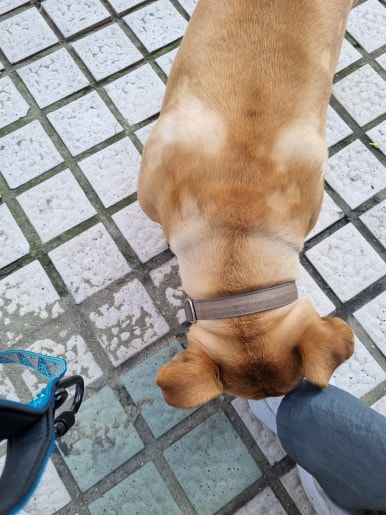 영일카센타 이미지