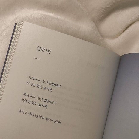마름달 이미지
