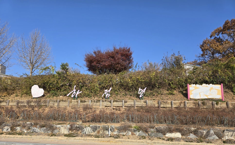 황금반점 이미지