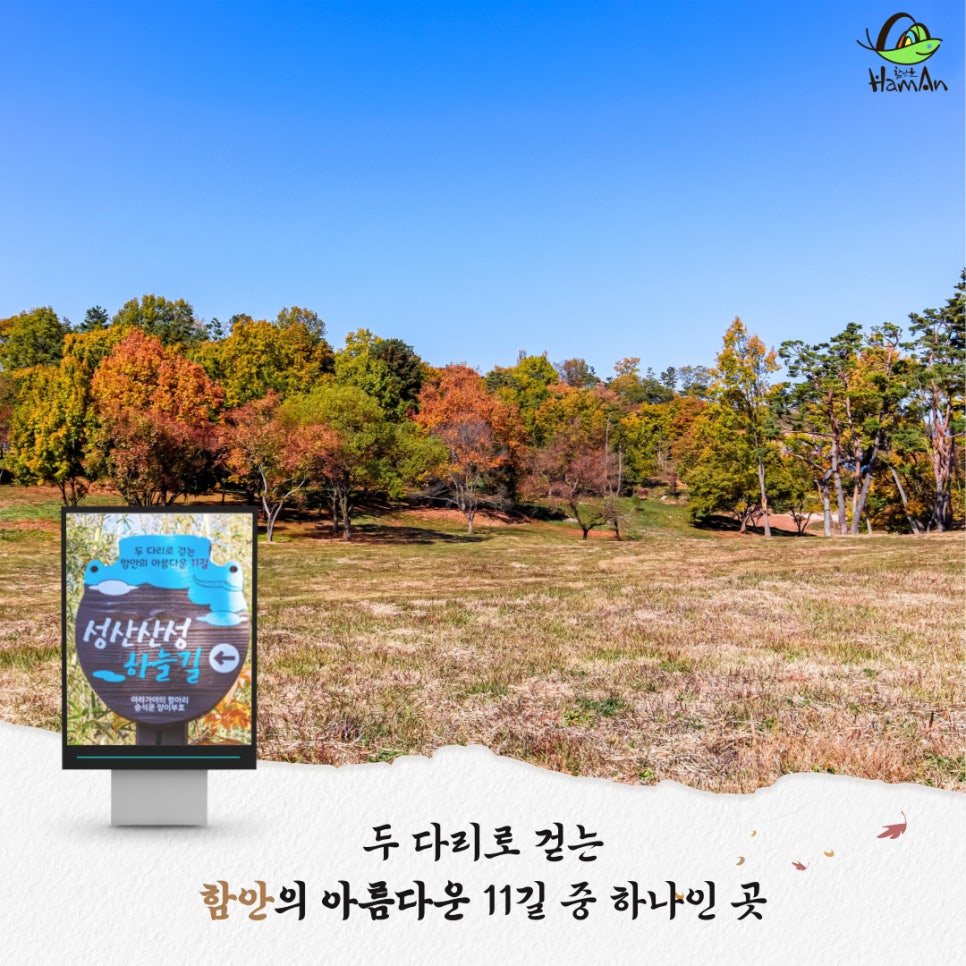 노바블룸디자인 이미지