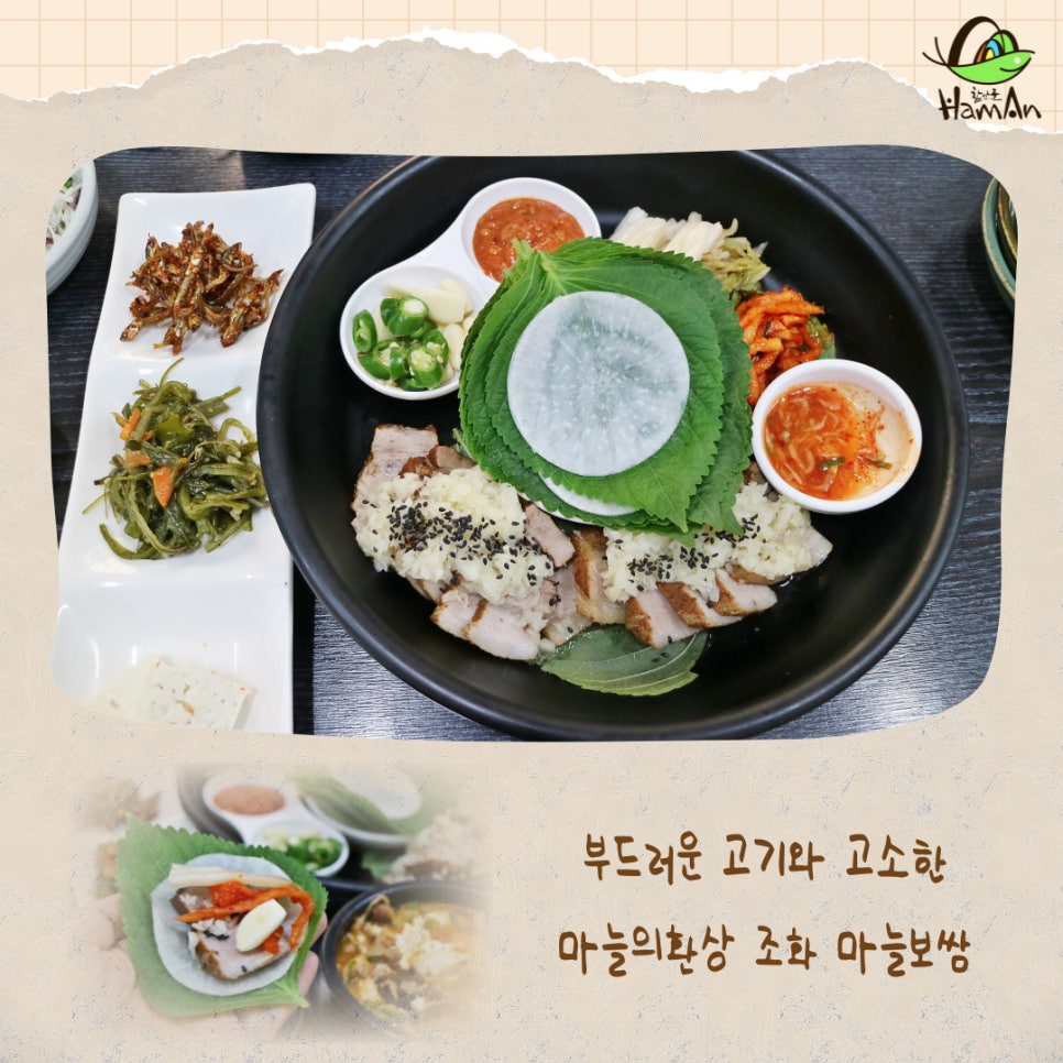 노바블룸디자인 이미지