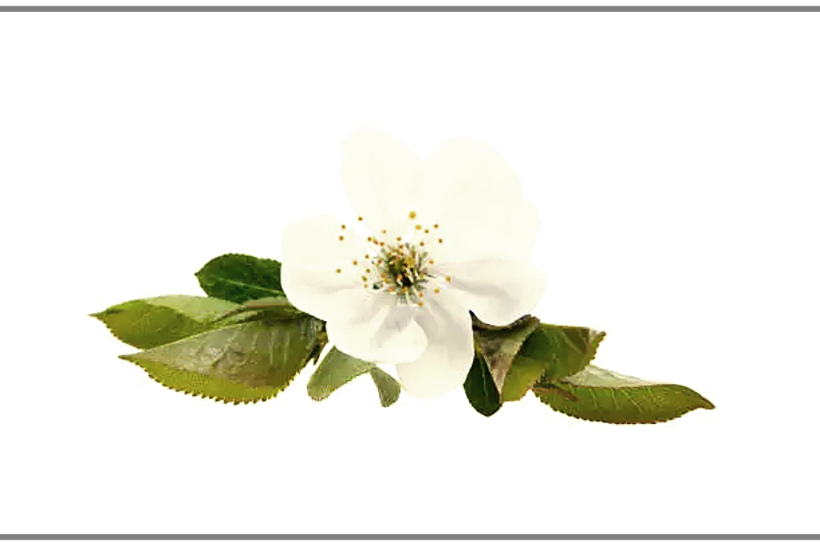일산포장 이미지