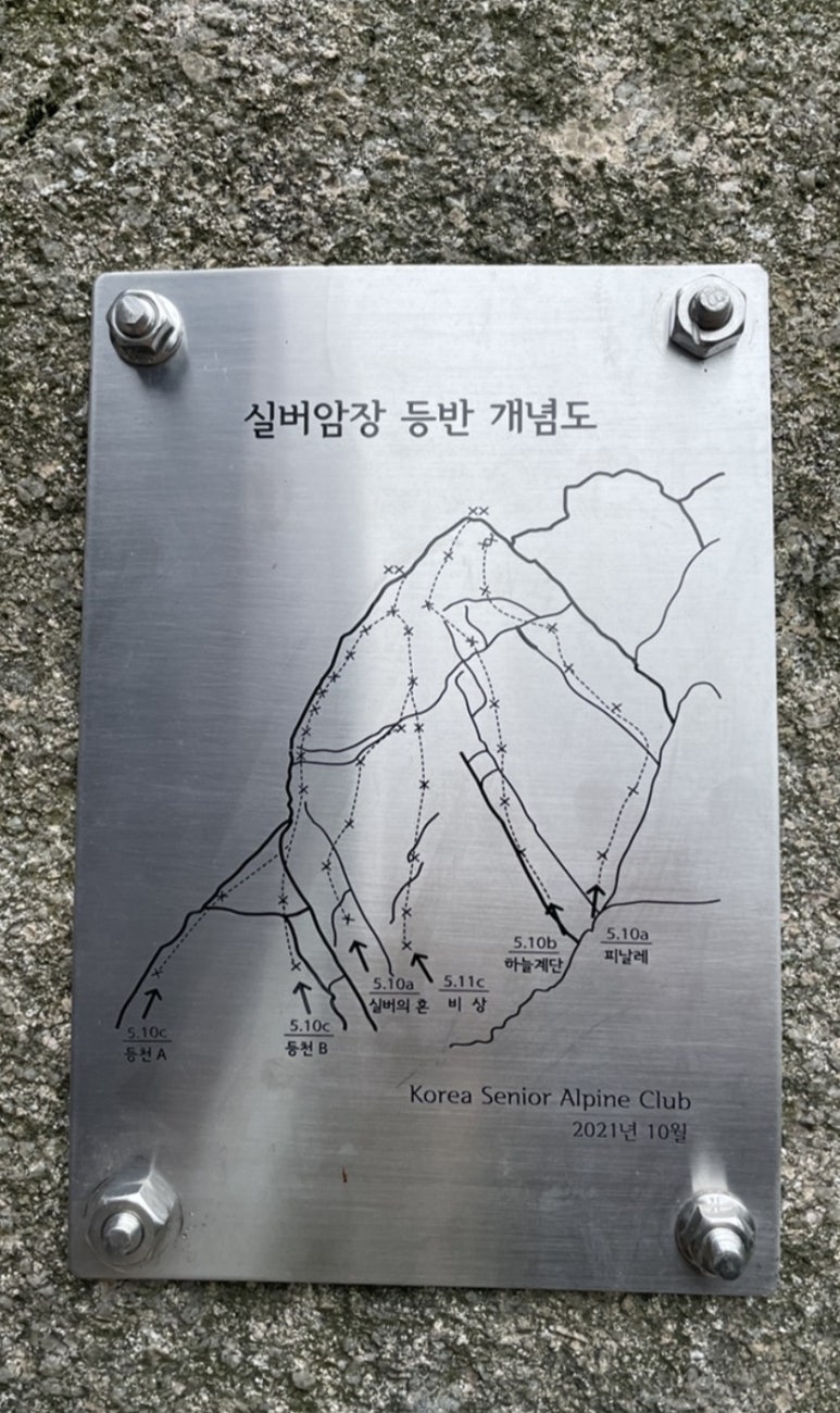 실버리치 이미지