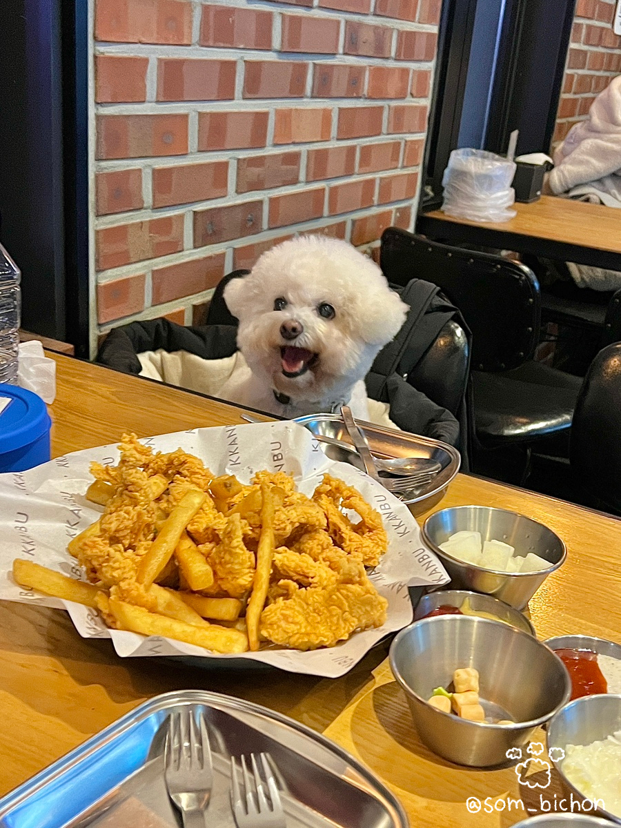깐부치킨동탄역앨리스빌점 이미지