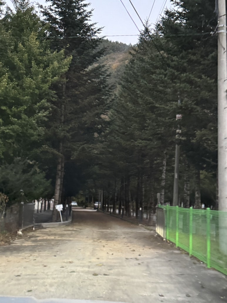 가리왕산 정원 캠핑장 이미지