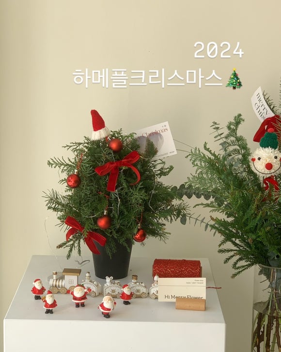 하이메리플라워 이미지