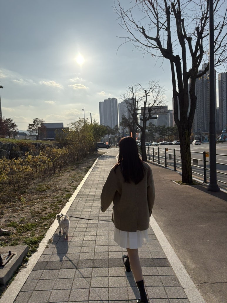 프루티팜 이미지