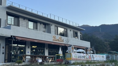 디코이덕 이미지