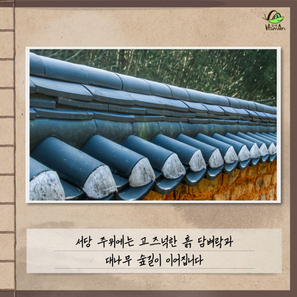 노바블룸디자인 이미지