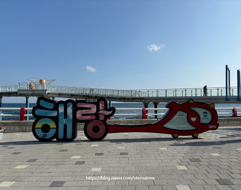 고향의맛손칼국수 이미지