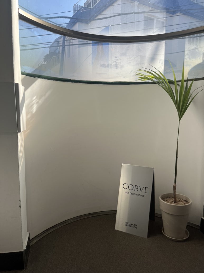 코르브(CORVE) 이미지