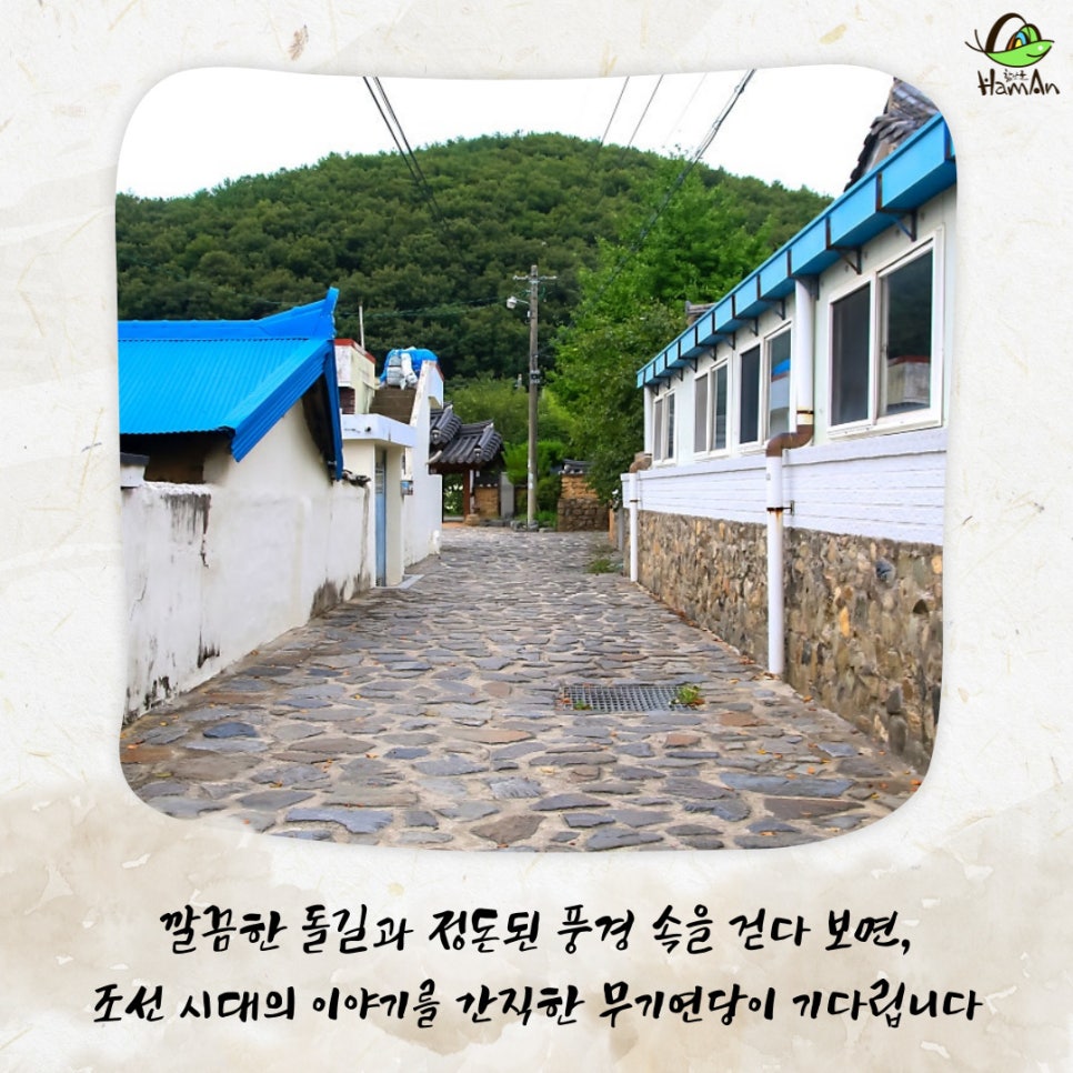 노바블룸디자인 이미지