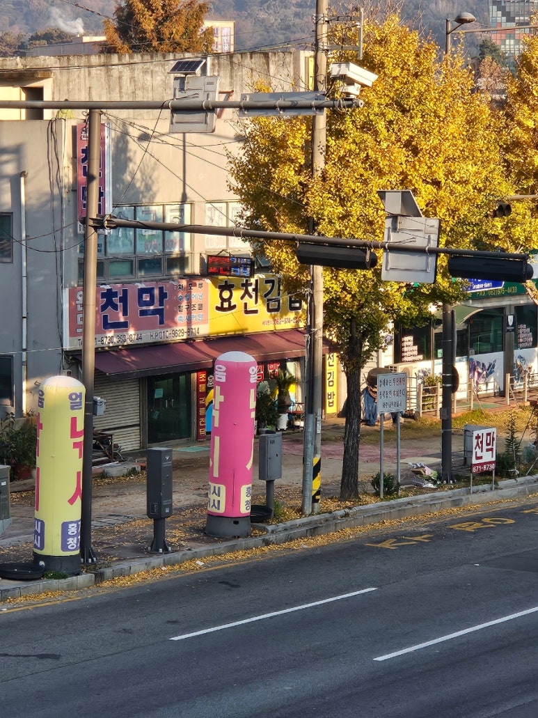 효천김밥 이미지