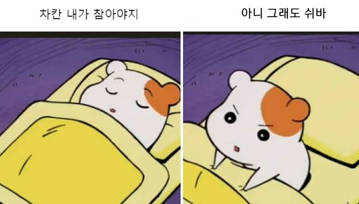 오뜰 이미지