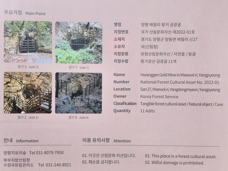 국립 양평 치유의 숲 이미지