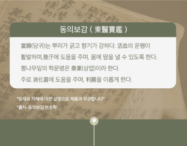 자연애법인 이미지