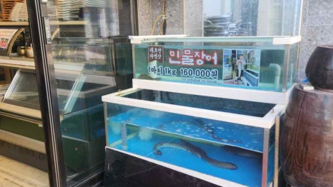 태봉정육식당 이미지