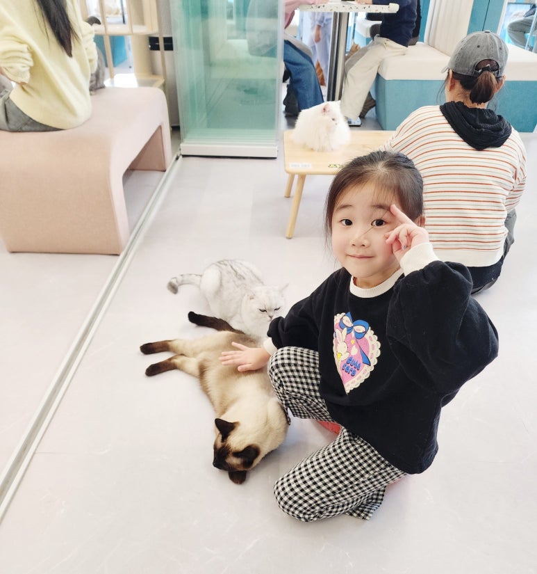 설렘고양이카페 이미지