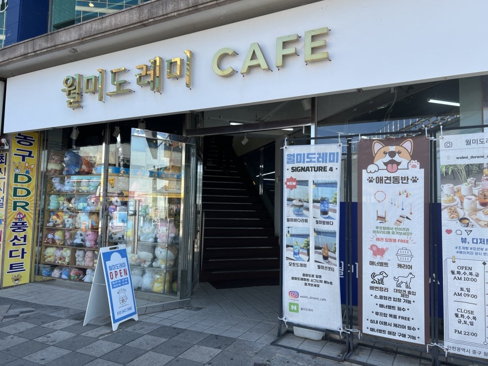 월미도레미 이미지