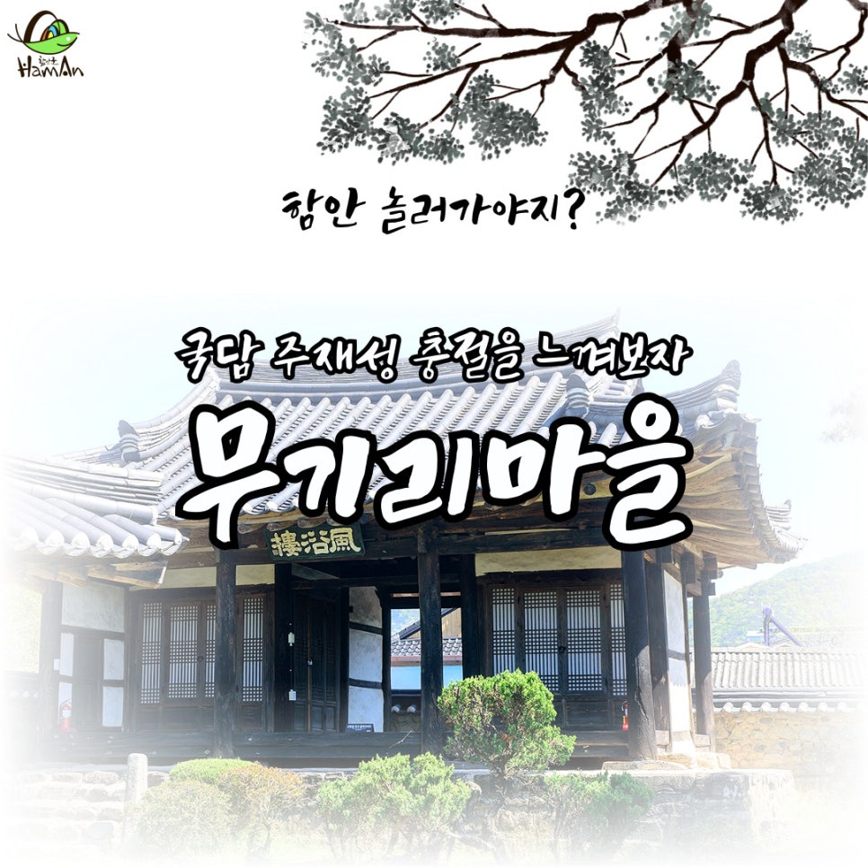 노바블룸디자인 이미지