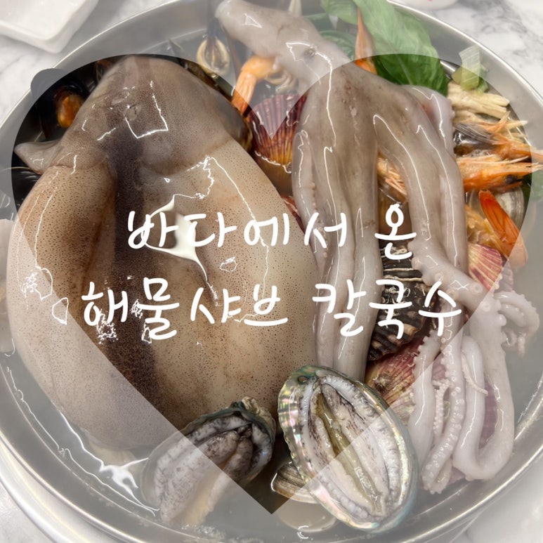 바다에서온해물샤브칼국수 이미지