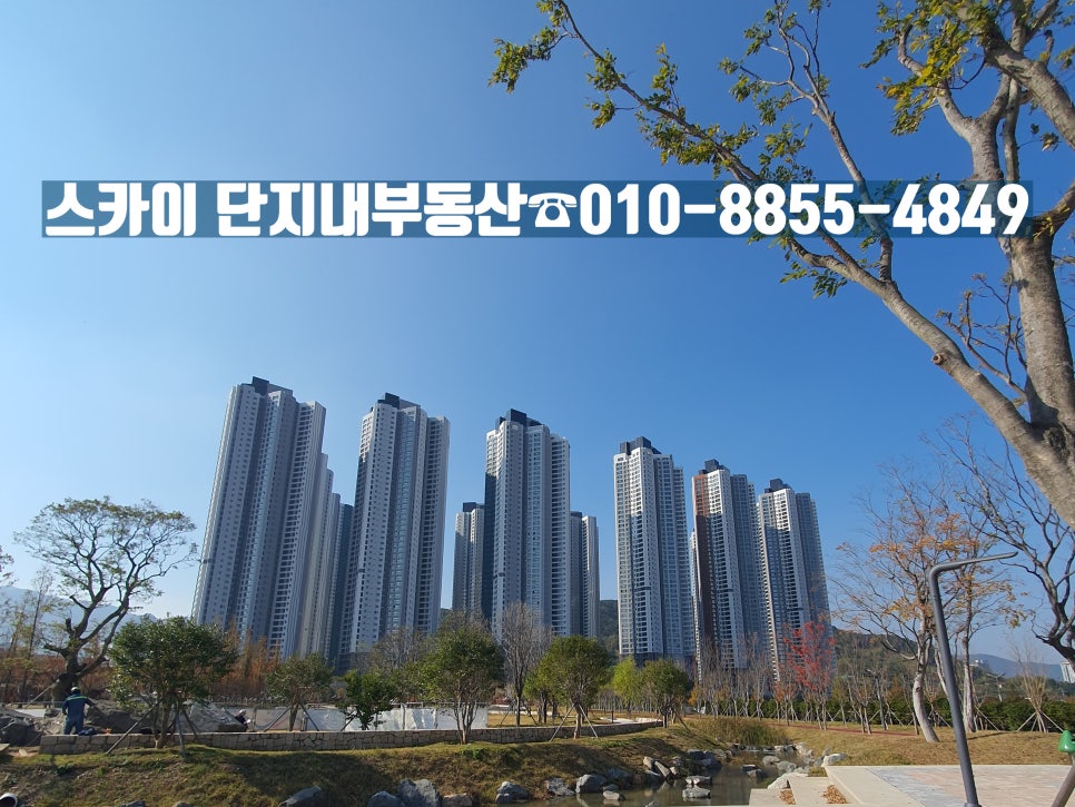 스카이시티투어 이미지