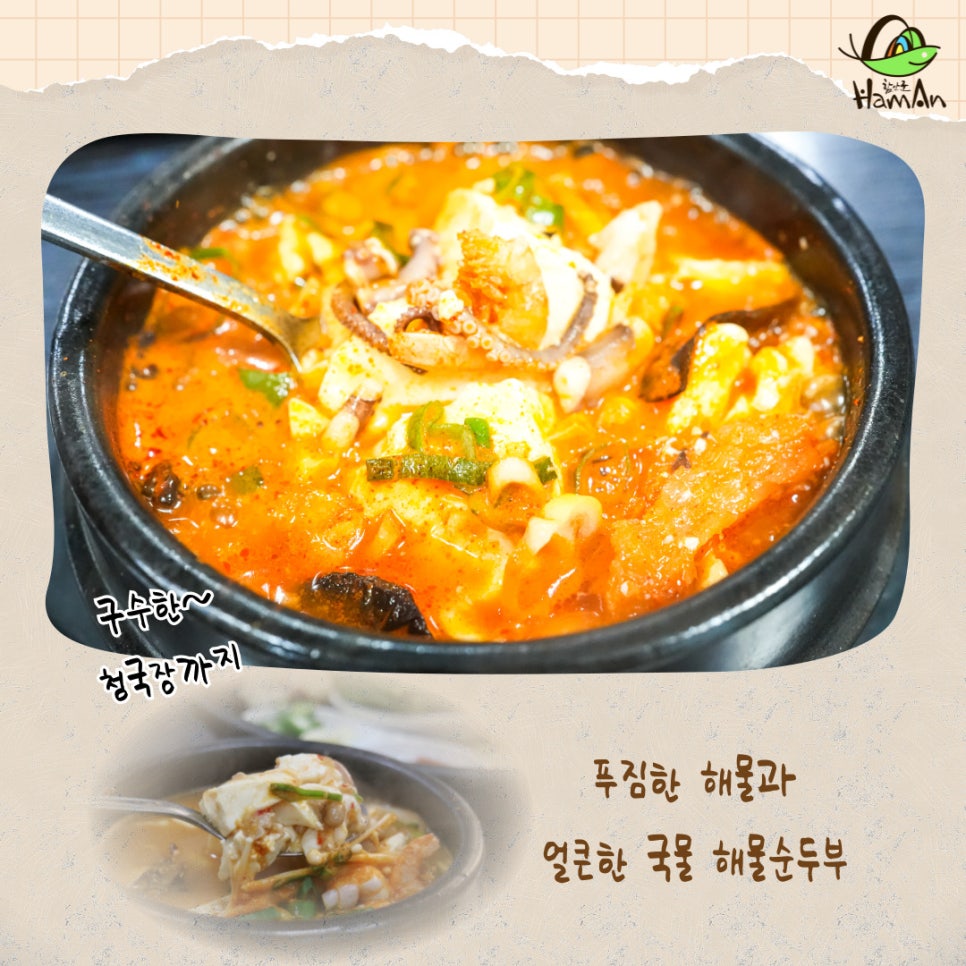 노바블룸디자인 이미지