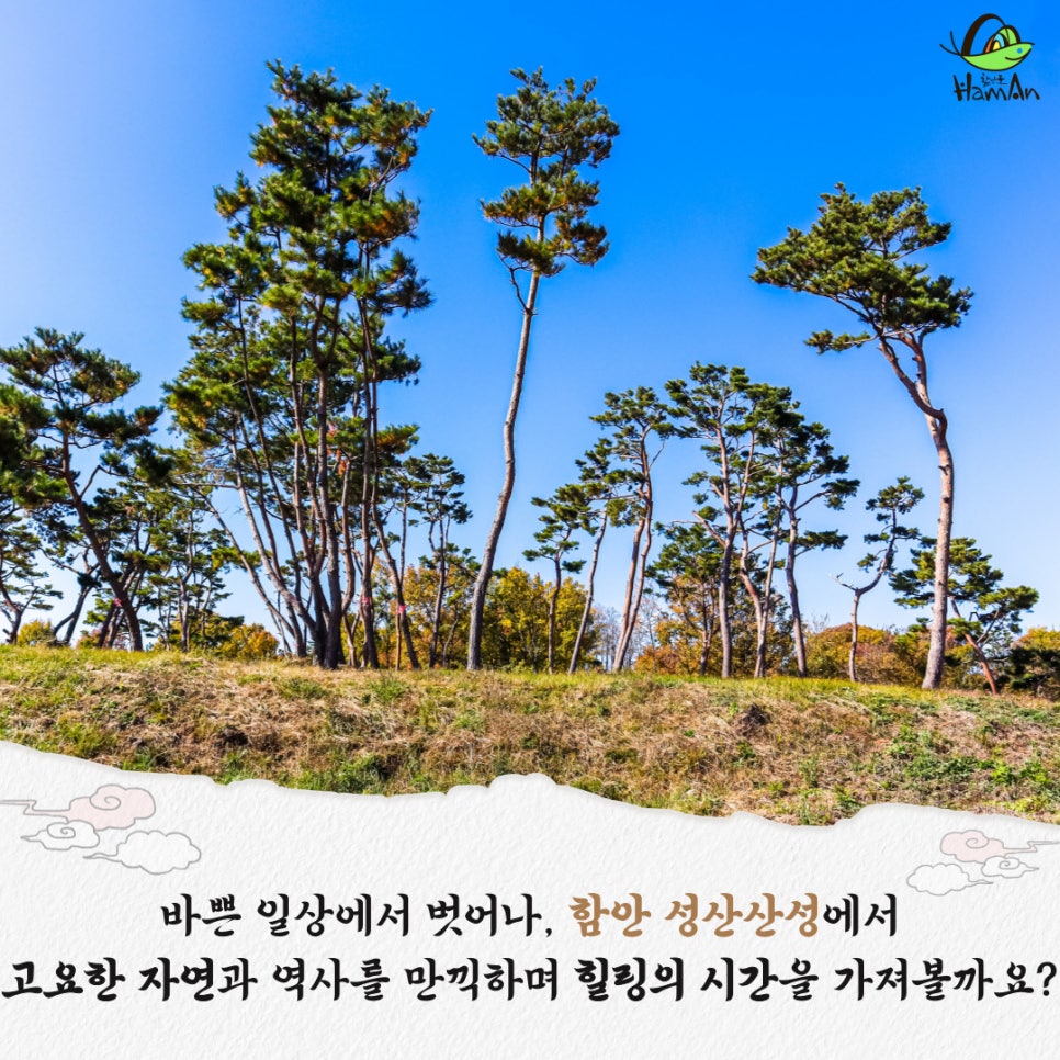 노바블룸디자인 이미지