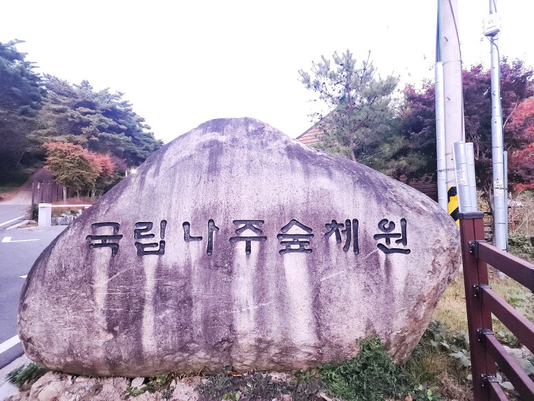 국립나주숲체원 이미지