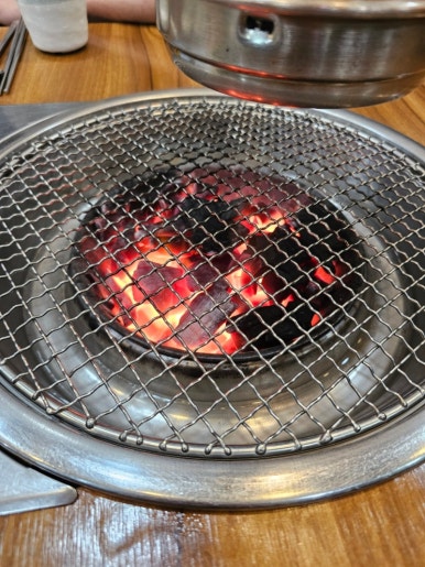그린피그 이미지