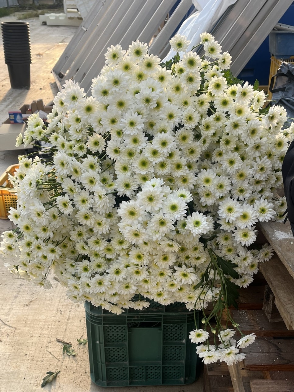 한아름공판장 이미지
