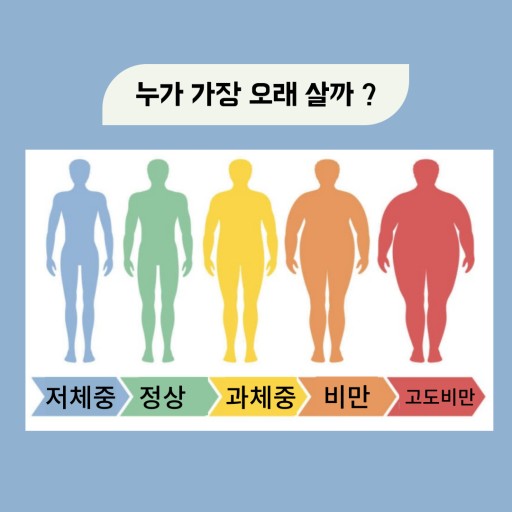 더인 이미지
