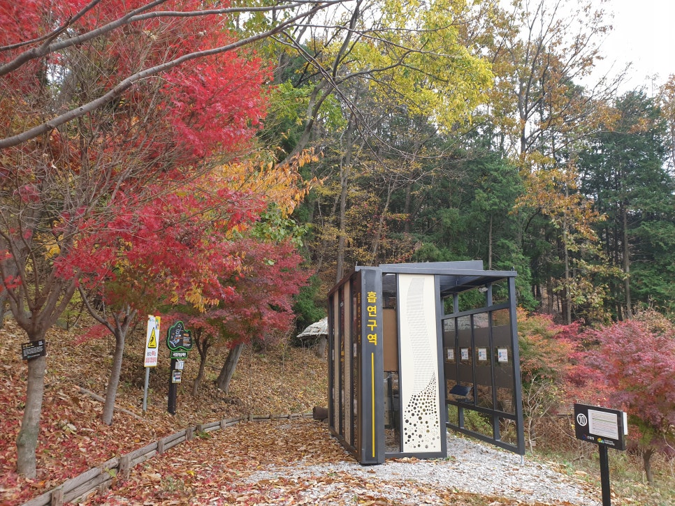 국립장성숲체원 이미지