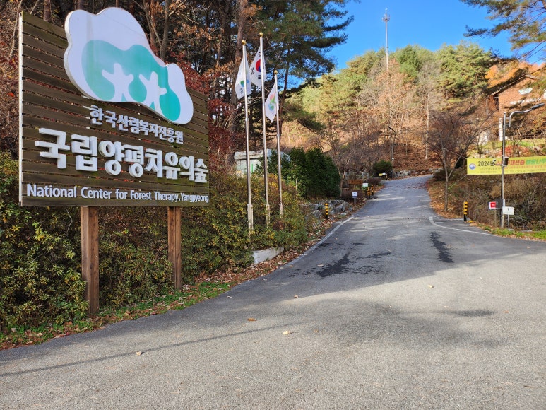 국립 양평 치유의 숲 이미지