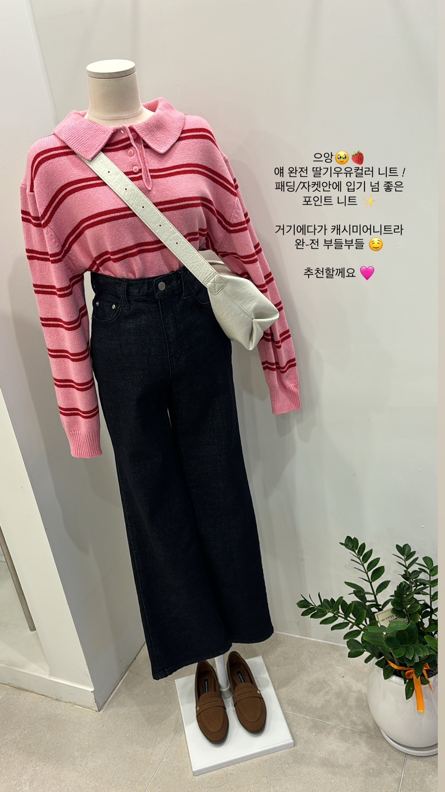 에브리데이엘린 이미지