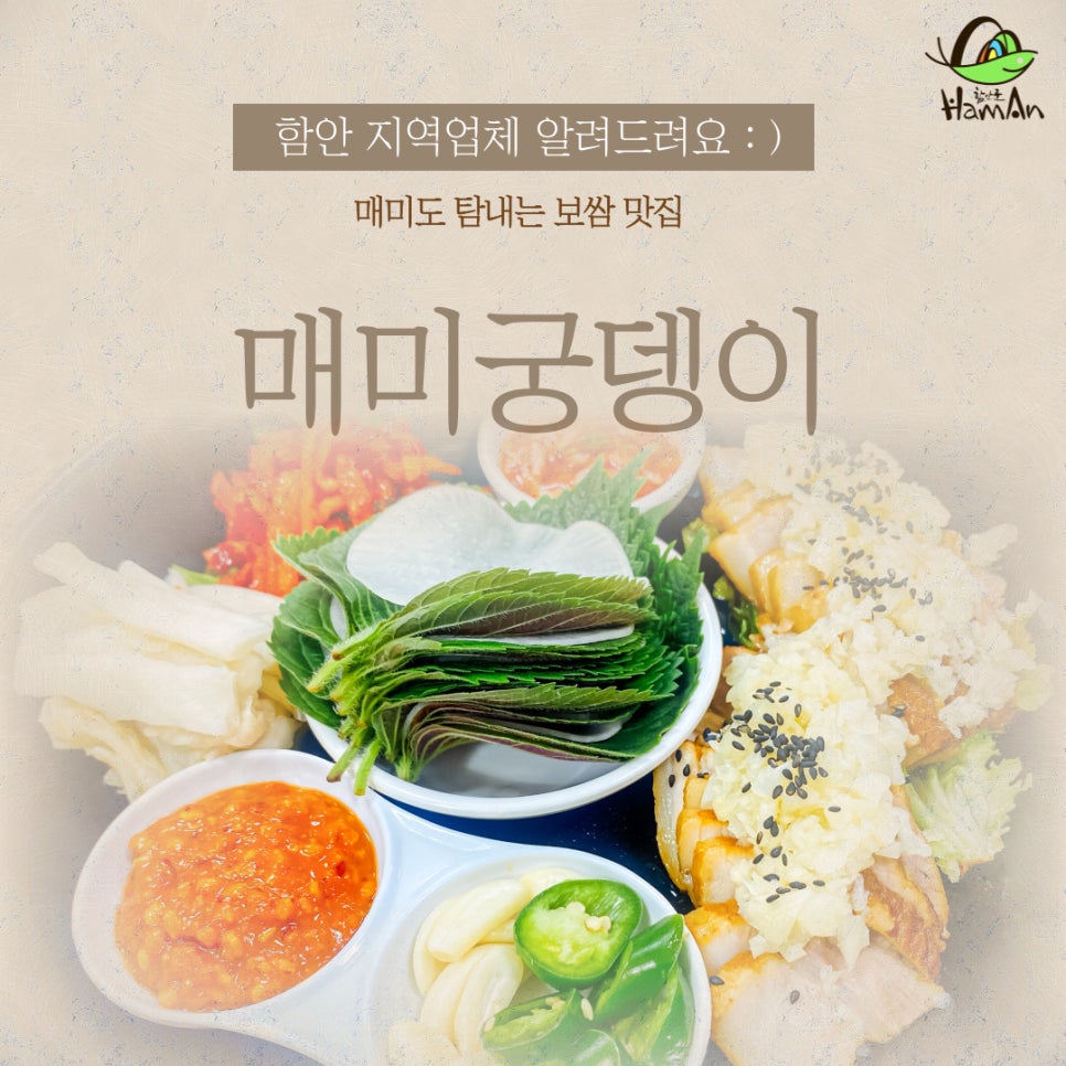 노바블룸디자인 이미지