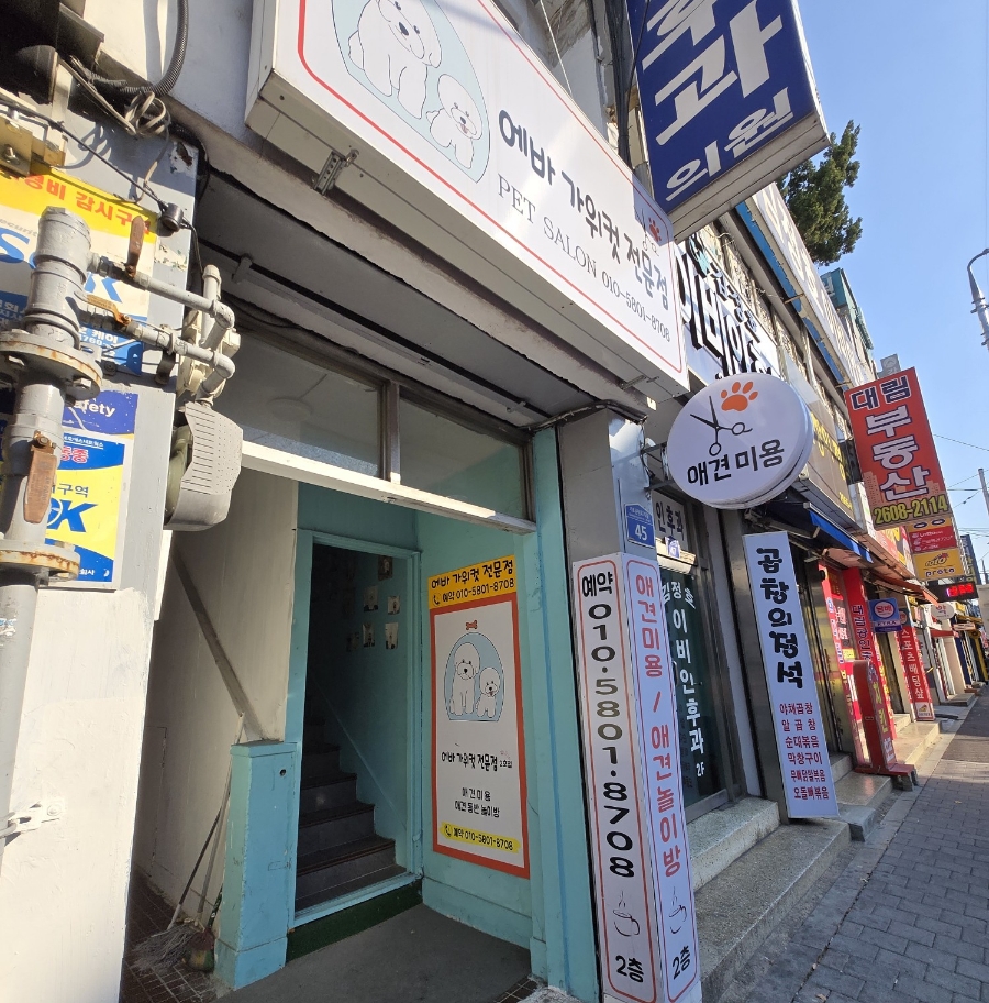 에바가위컷 전문점 이미지