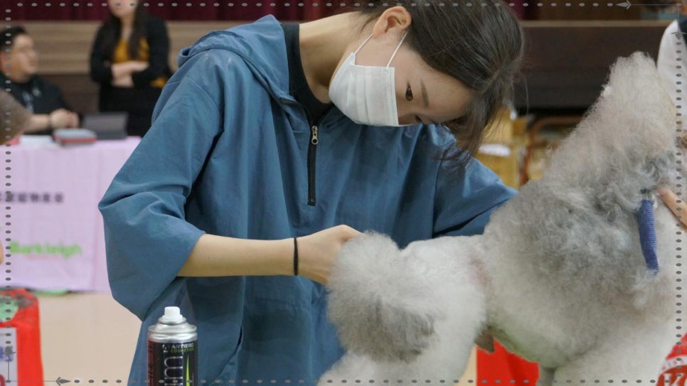프로펫애견미용학원 이미지