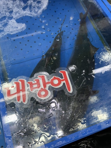 대보활어 이미지