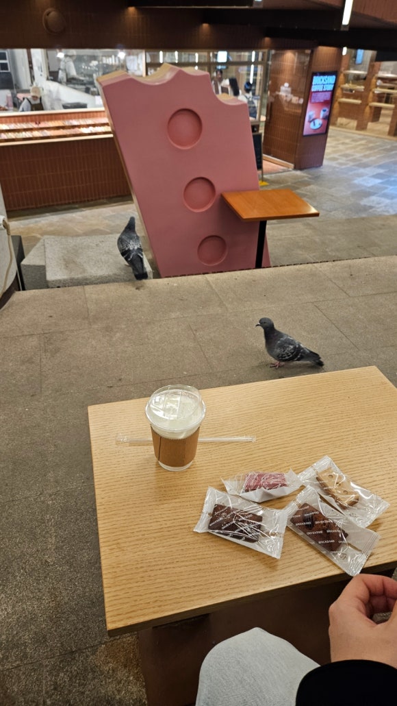 엽기팔닭 이미지