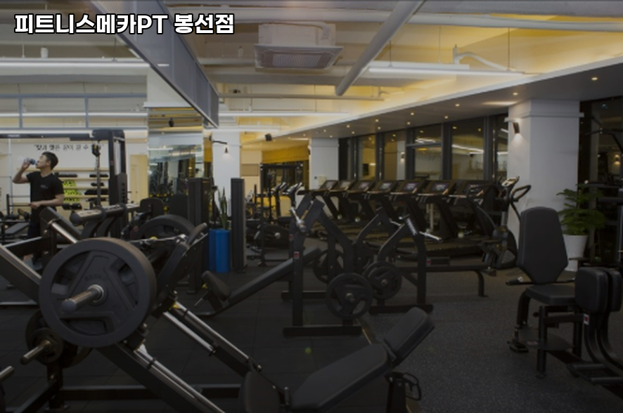피트니스메카 이미지