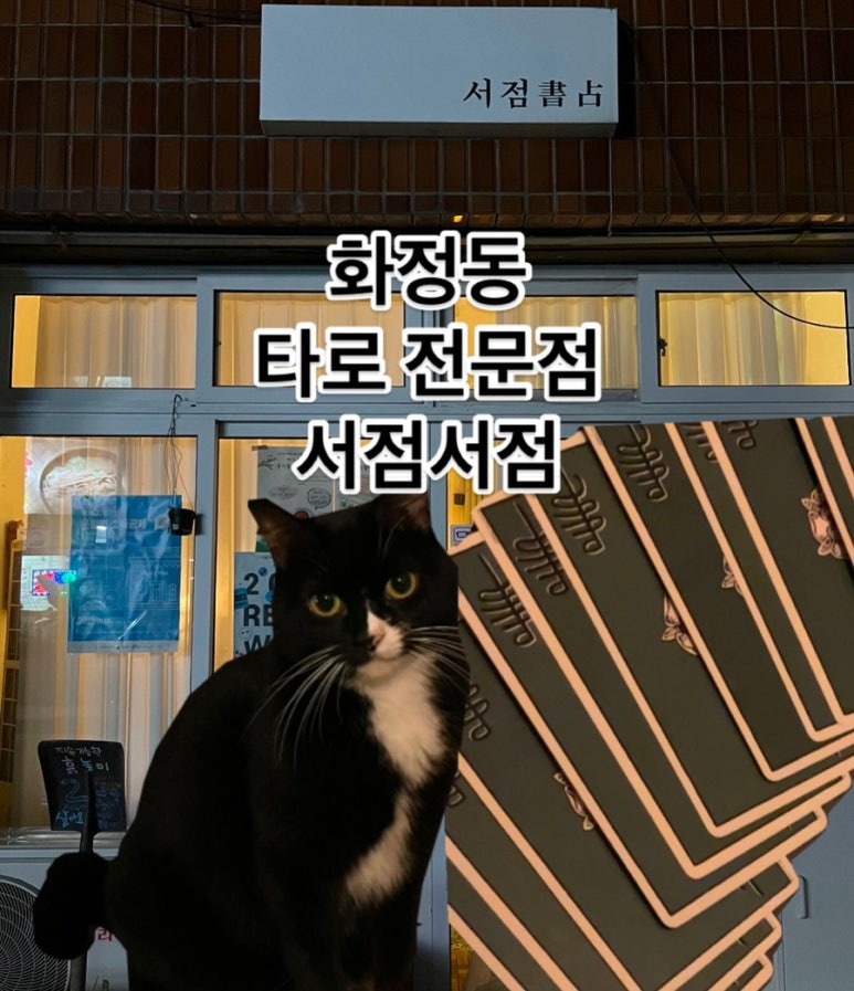 서점書占 이미지