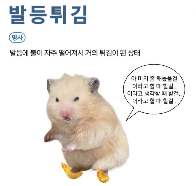 남촌횟집 이미지