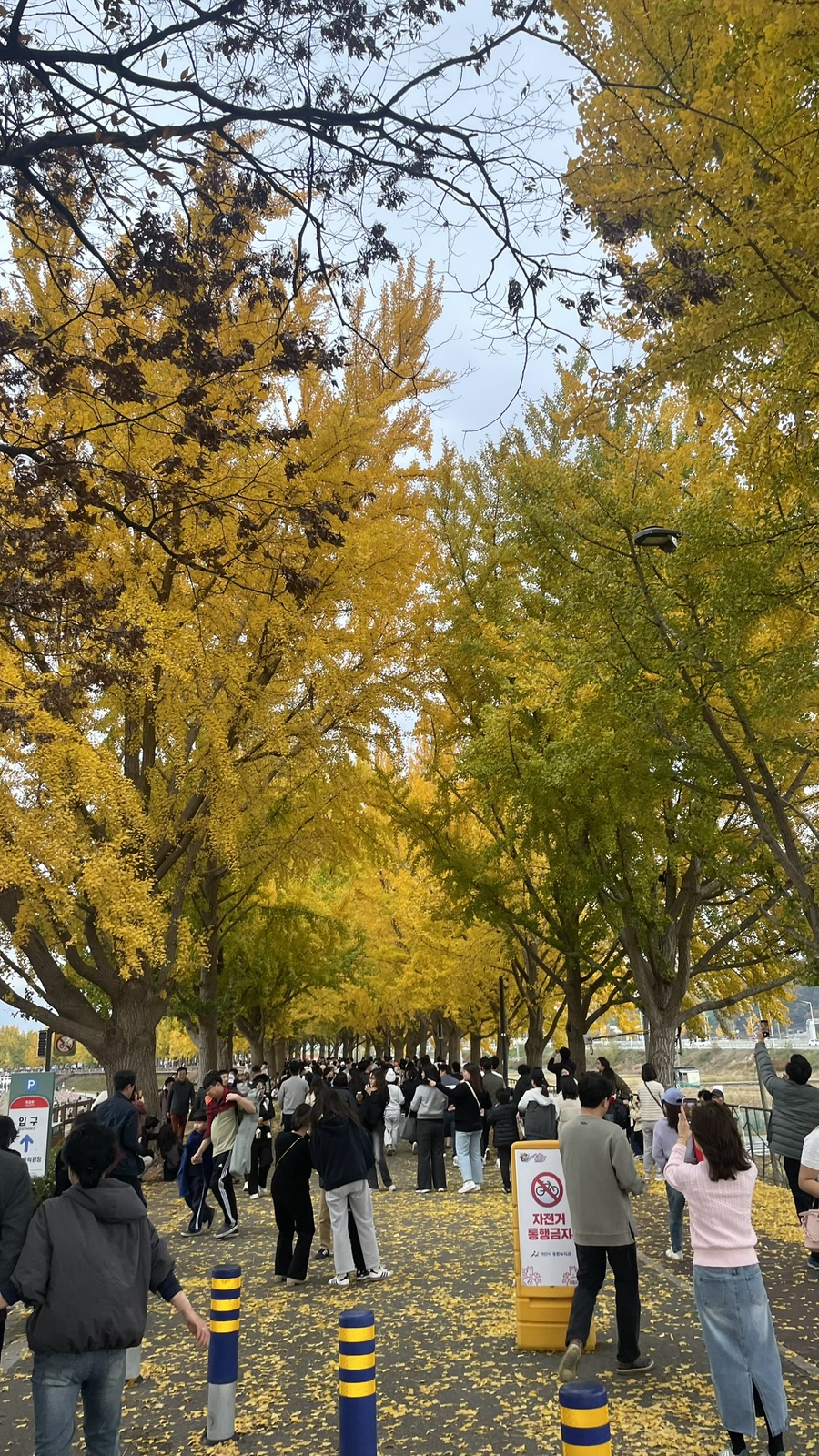 충남이발관 이미지