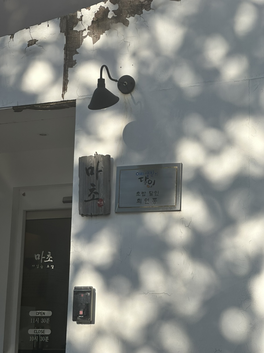 마초 사진 2